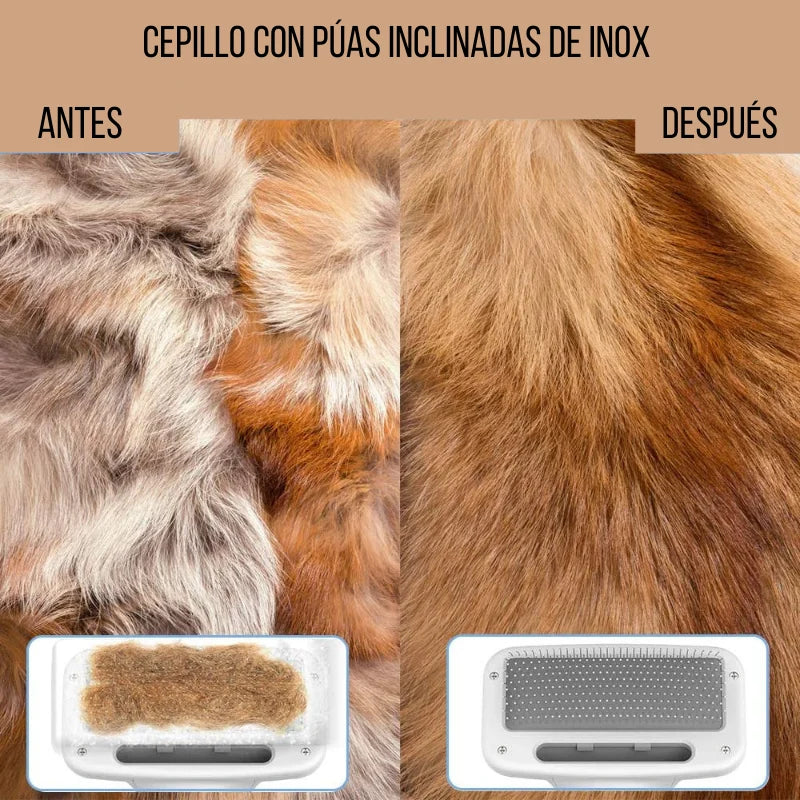 Secador de Pelo para Mascotas